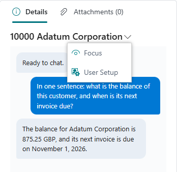 The menu of the chat with the actions Focus and User Setup